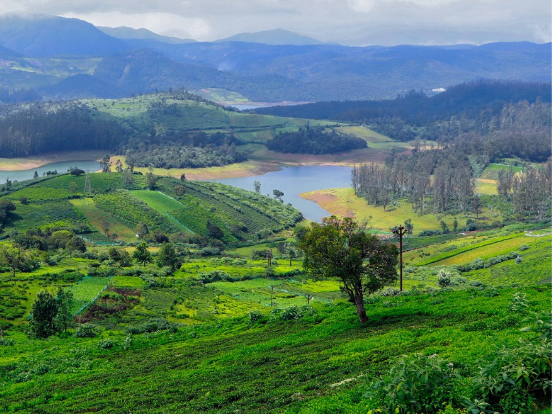 Discovering Paradise: Top Beautiful Hill Stations of Tamil Nadu