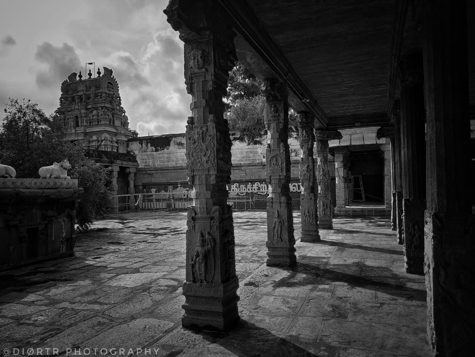 Raja photo6