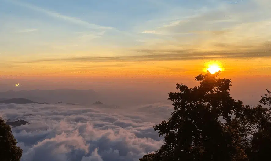 Explore Vattakanal: A hidden gem in the Western Ghats