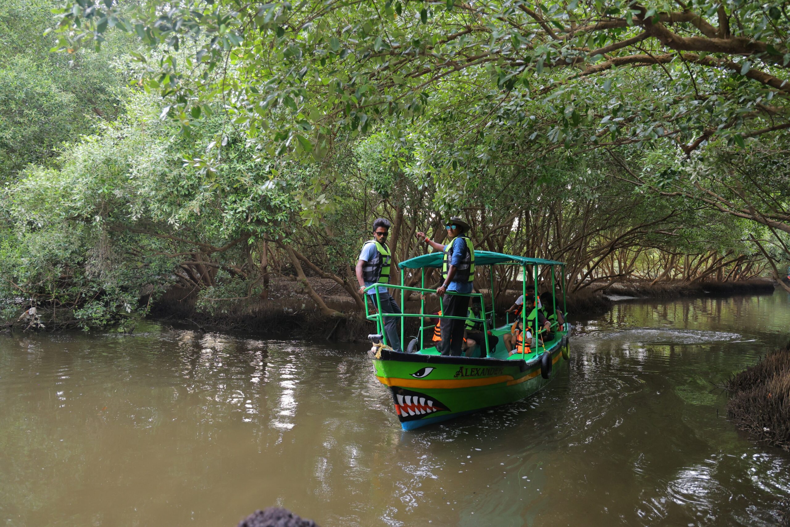 Mangrove forest boating