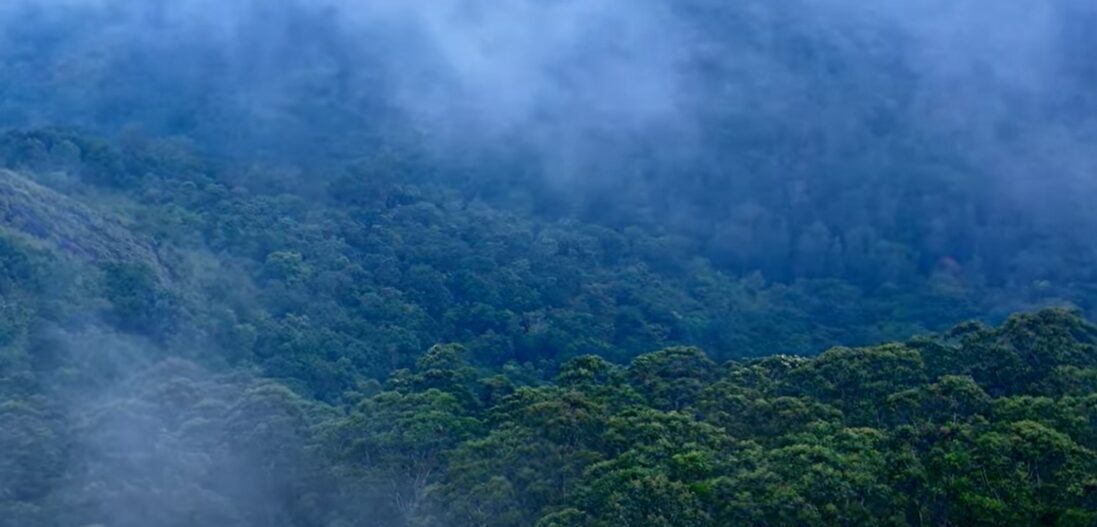 Yercaud trek 1