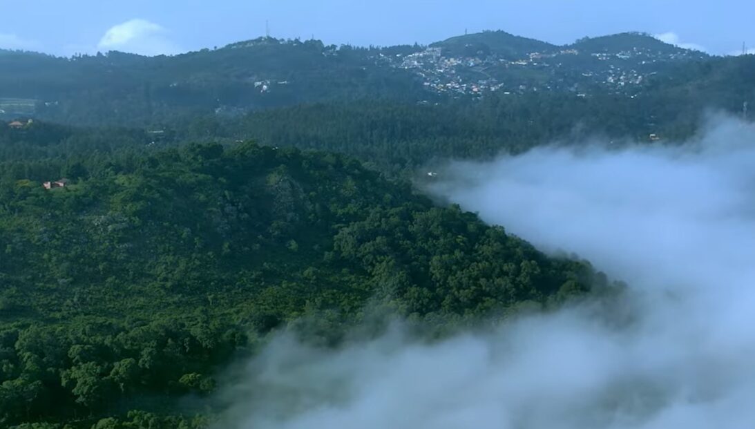 Yercaud trek 5