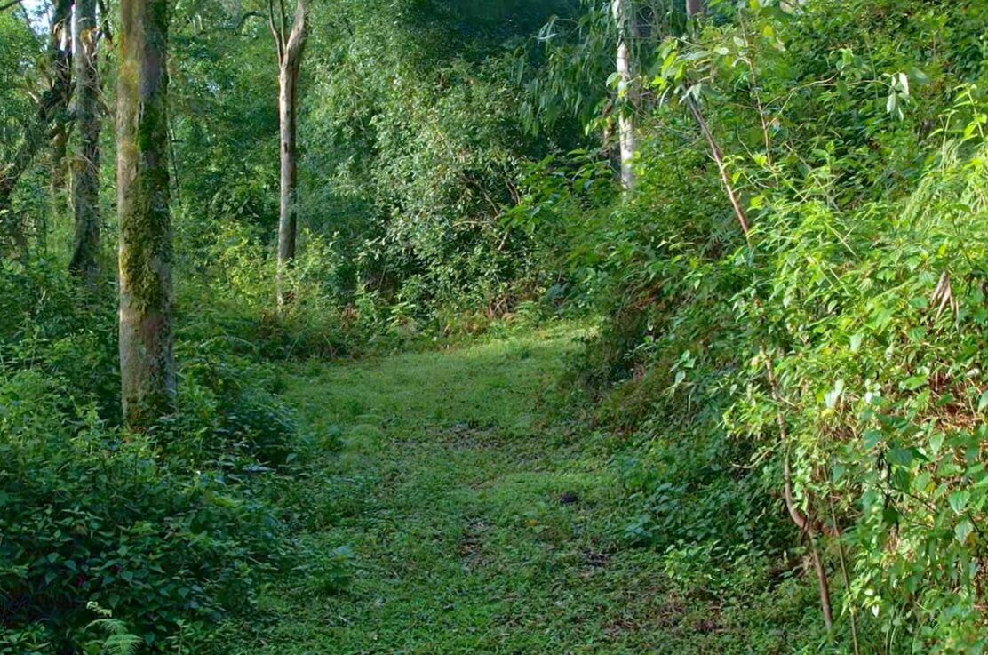Yercaud trek