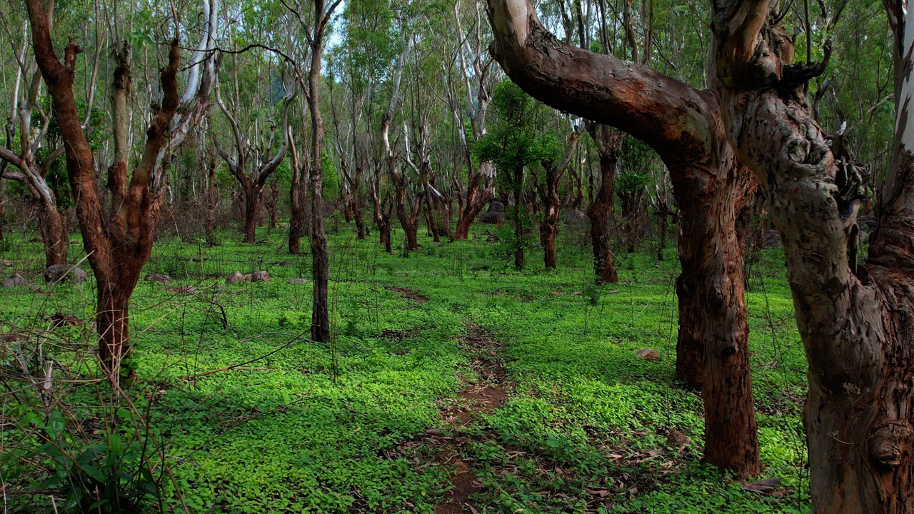 jalagamparai-img1