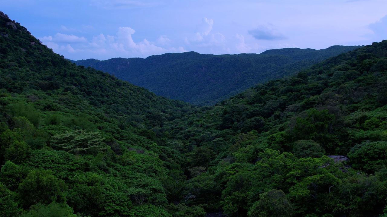 jalagamparai-img3