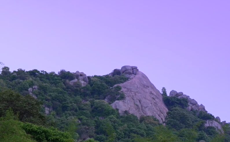 yelagiri trek 1