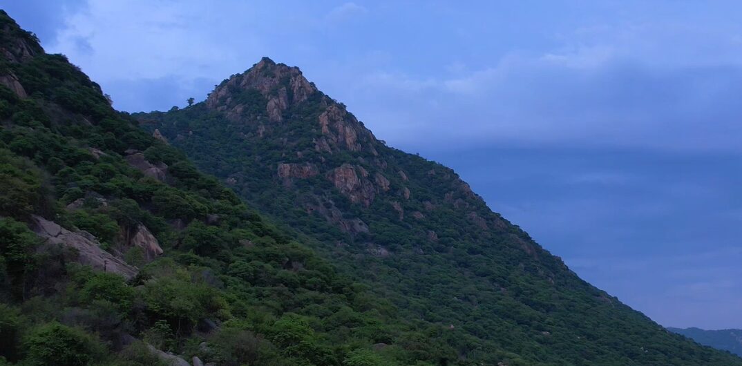 yelagiri trek 7