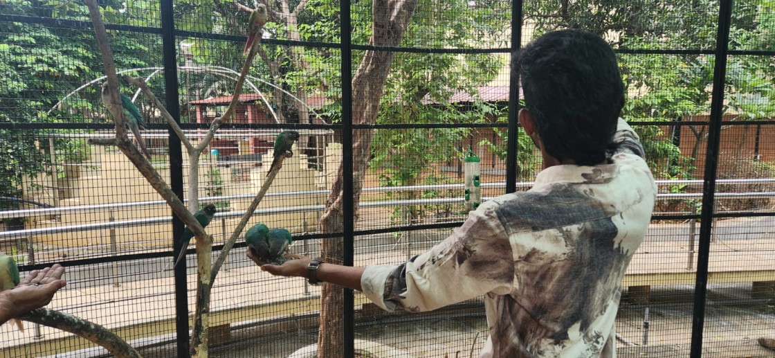 Inspace birds feeding