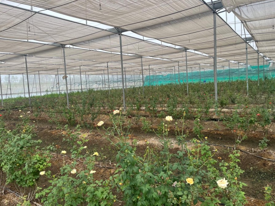 Inspace nursery 3