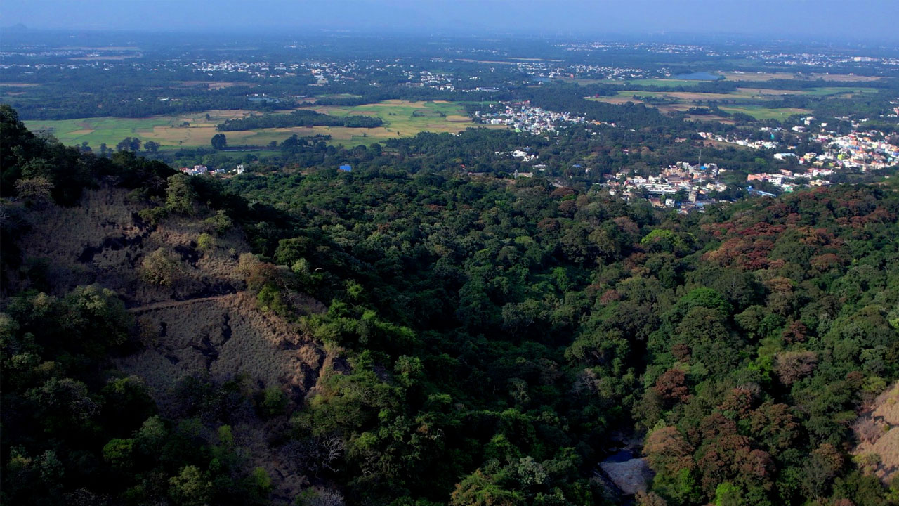 courtallam-to-shenbagadevi-falls-treking-img1