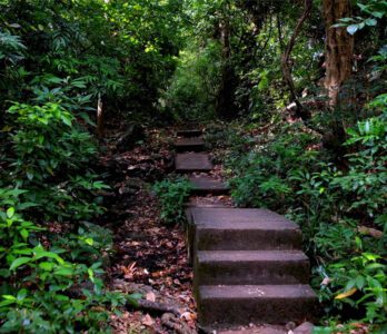 courtallam-to-shenbagadevi-falls-treking-img2