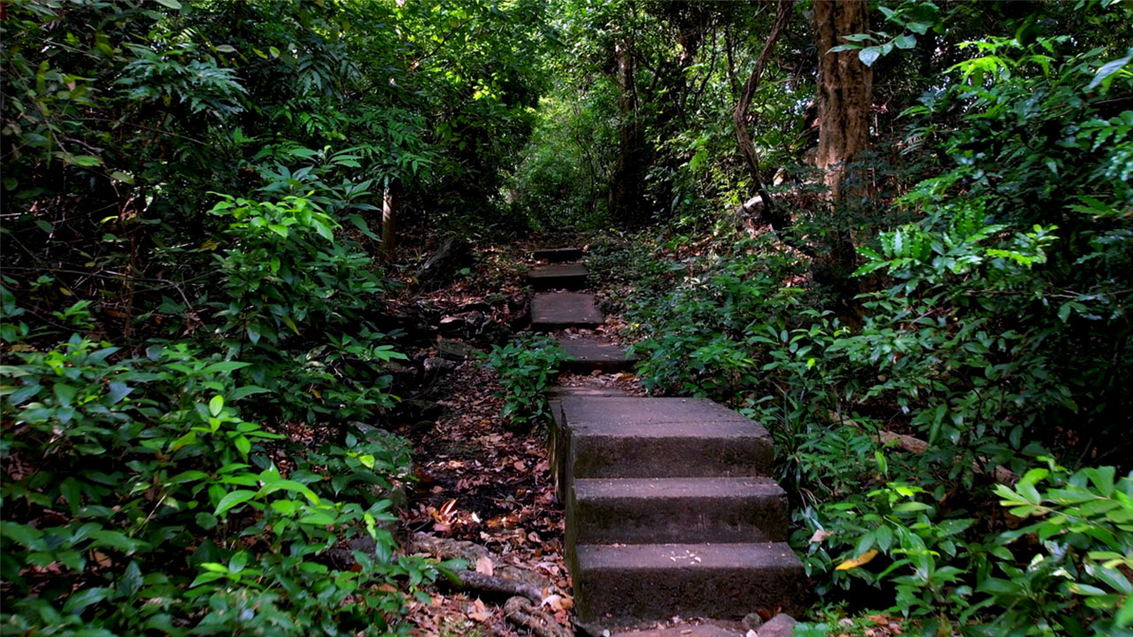 courtallam-to-shenbagadevi-falls-treking-img2