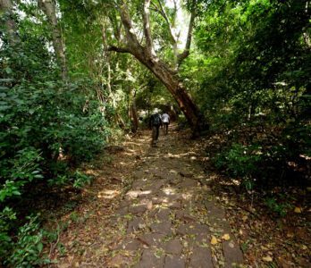 courtallam-to-shenbagadevi-falls-treking-img3 (1)