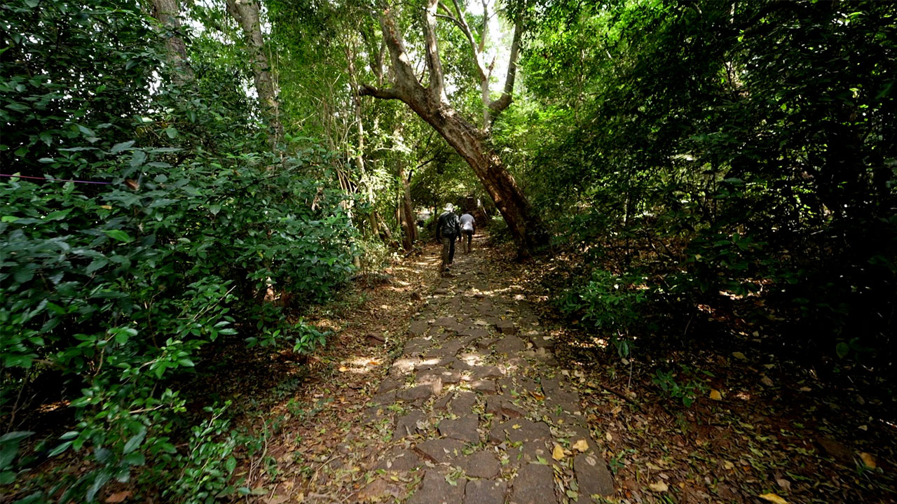 courtallam-to-shenbagadevi-falls-treking-img3 (1)