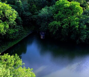 kalikesam-balamore-gallery 2