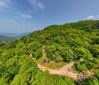 kalikesam-balamore-gallery 4