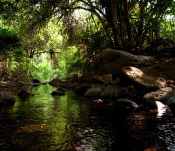 kutladampatti-trekking-photo2