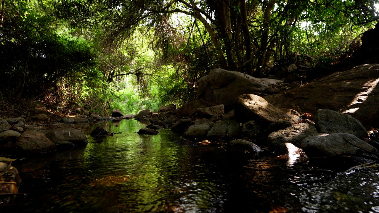 kutladampatti-trekking-photo2