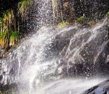 kutladampatti-trekking-photo4