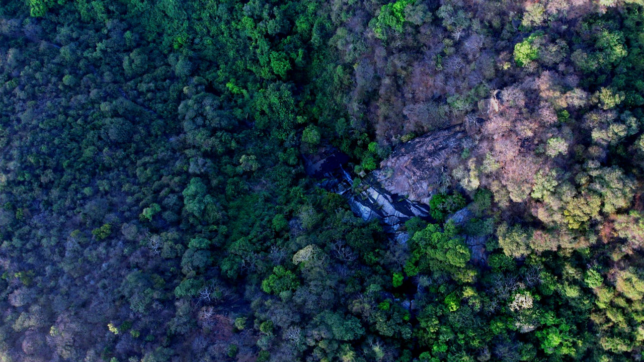 kutladampatti-trekking-photo5