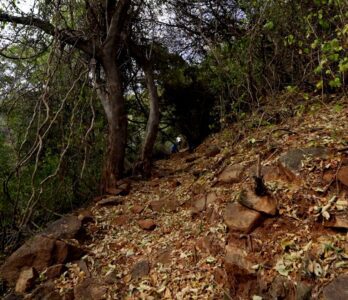 kutladampatti-trekking-photo8