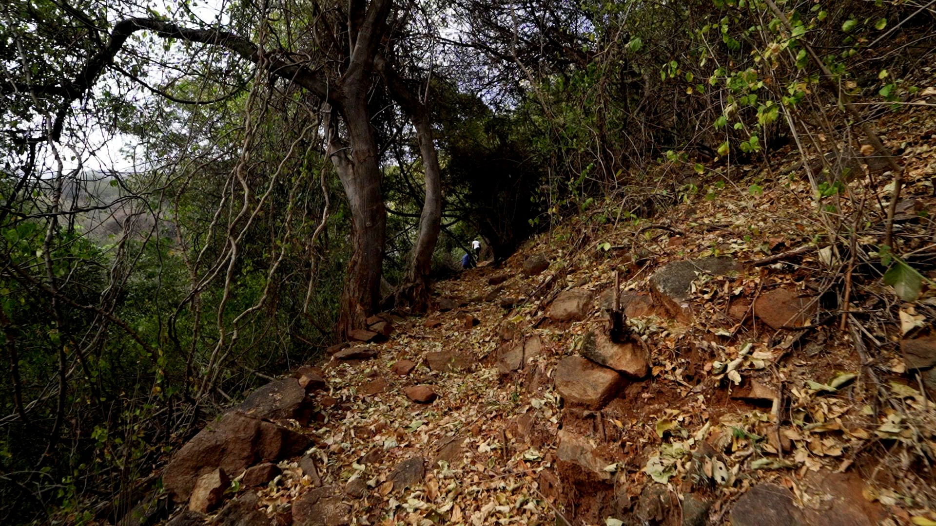 kutladampatti-trekking-photo8