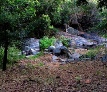 kutladampatti-trekking-photo9