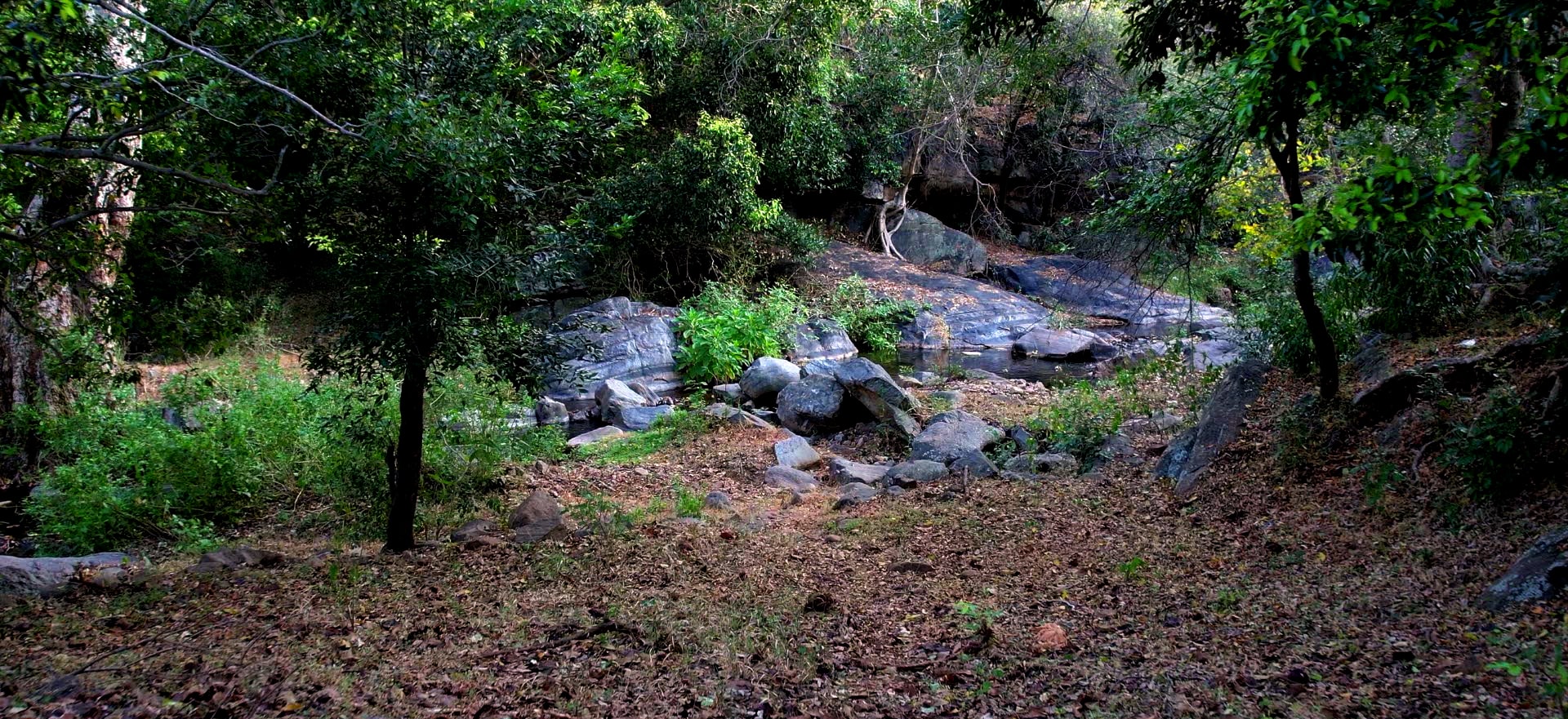 kutladampatti-trekking-photo9
