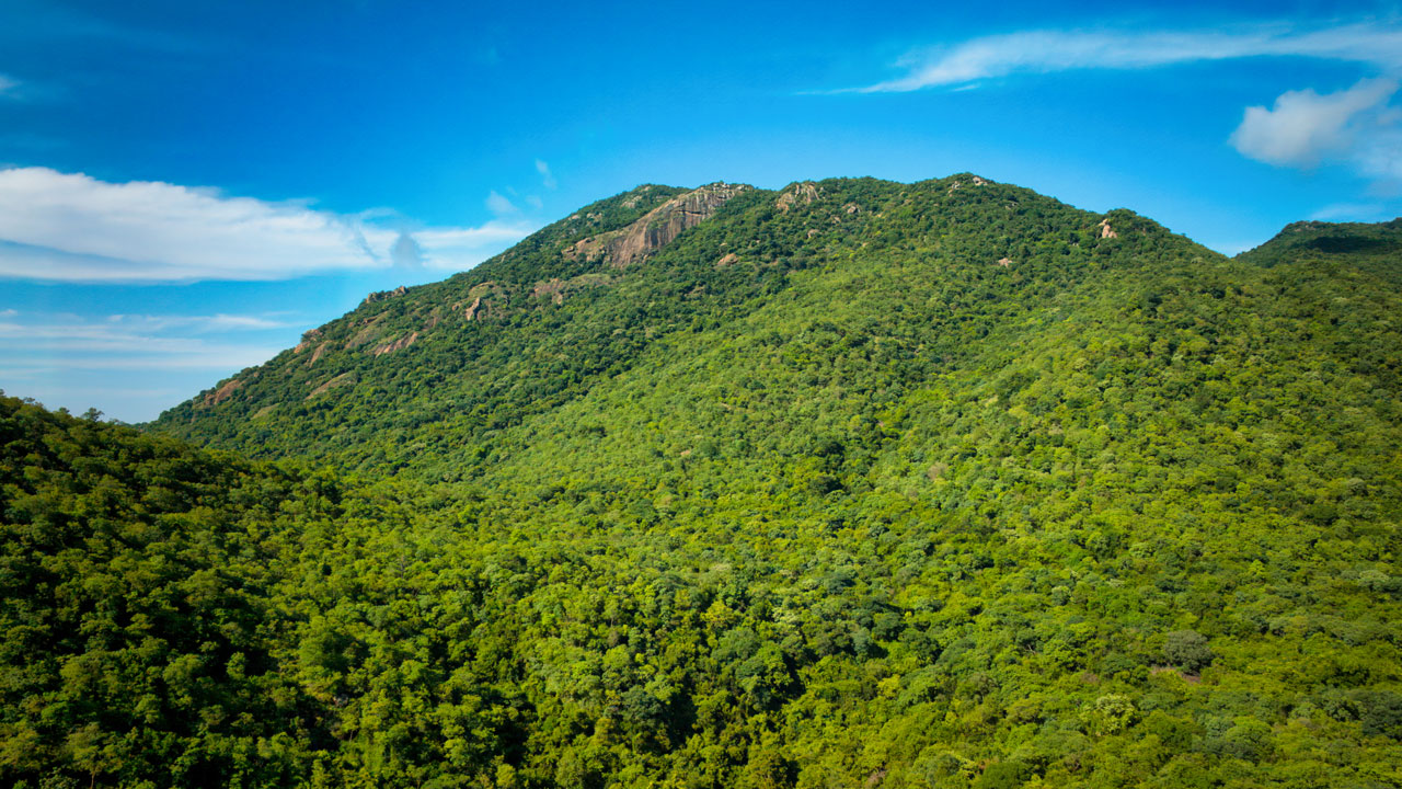 renugambal-kovil-kullar-caves1