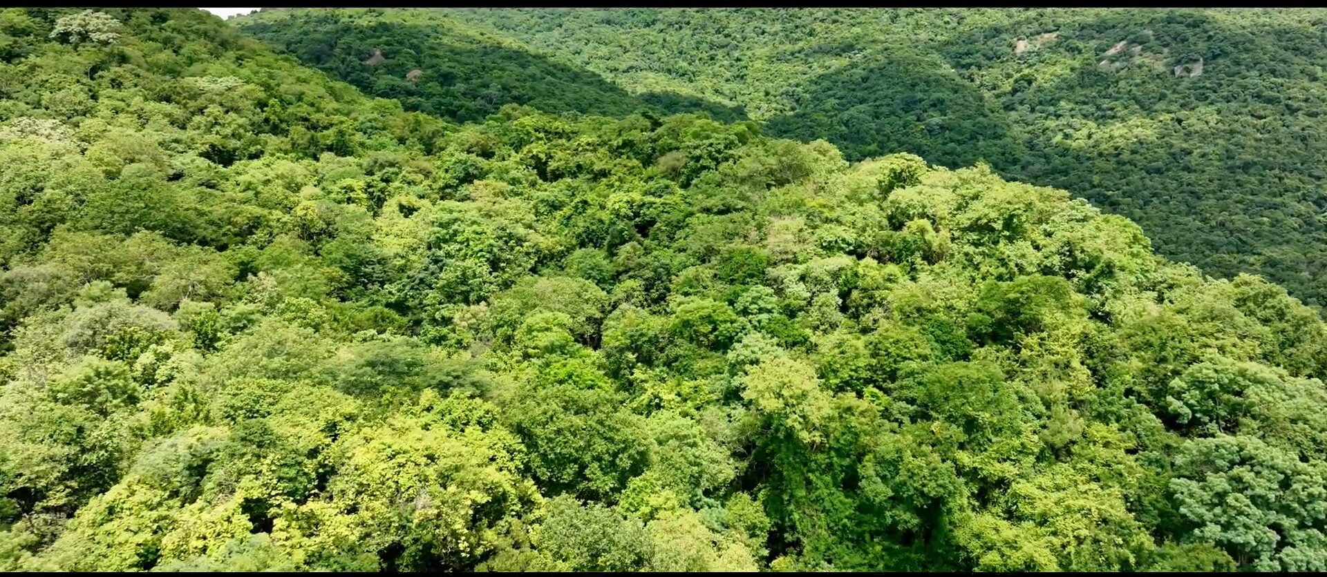 renugambal-kovil-kullar-caves11