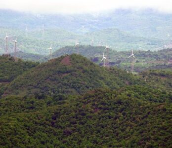 sembukarai-gallery1 (1)