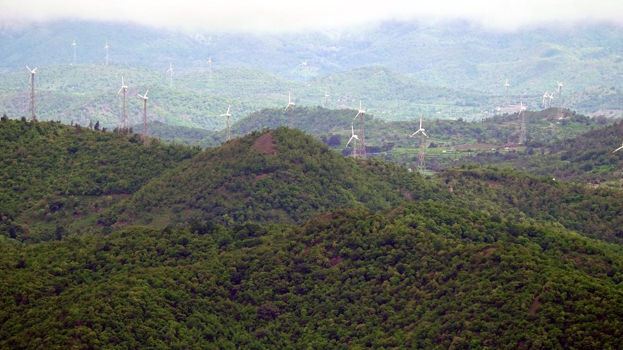 sembukarai-gallery1 (1)