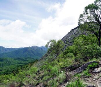 sembukarai-gallery2 (1)