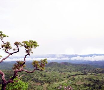 sembukarai-gallery3 (1)