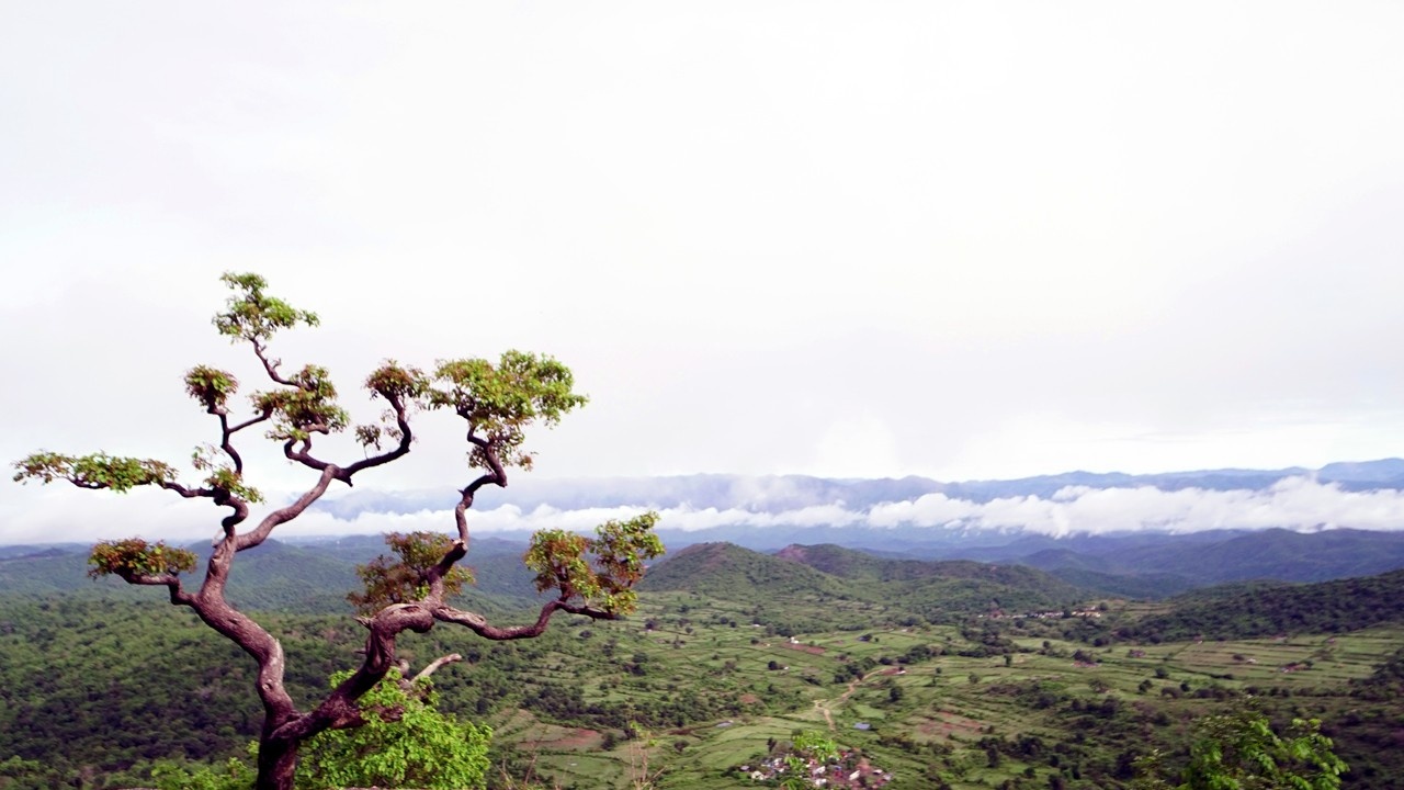 sembukarai-gallery3 (1)