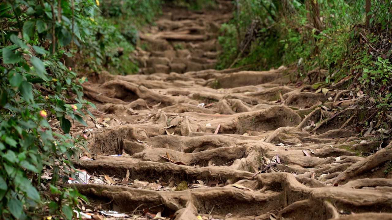 vattakanal-to-vellakavi-treking-3 (1)