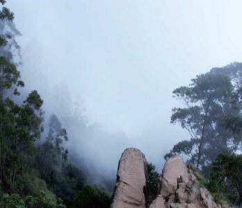 vattakanal-to-vellakavi-treking-5 (1)