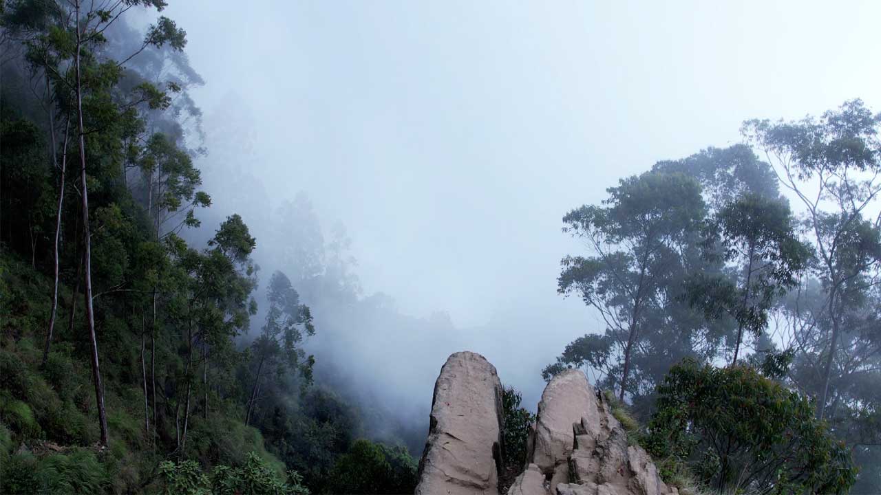 vattakanal-to-vellakavi-treking-5 (1)