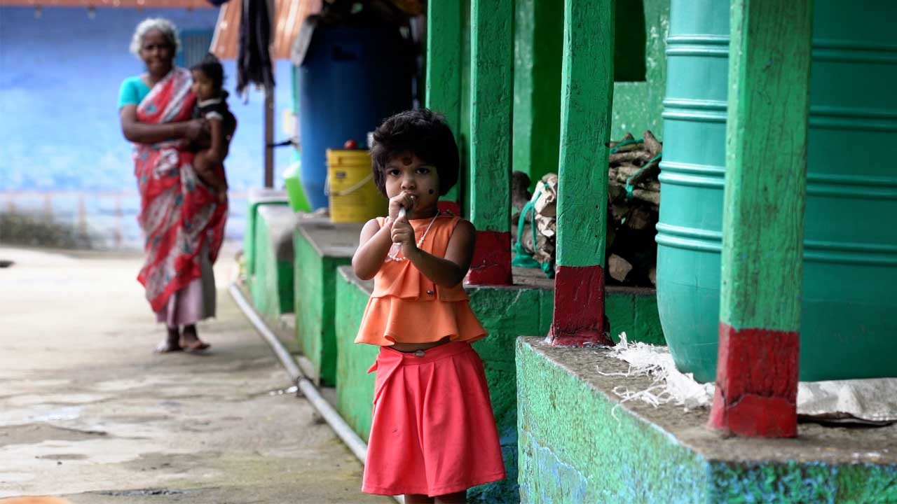 vattakanal-to-vellakavi-treking-6 (1)