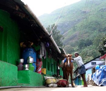 vattakanal-to-vellakavi-treking-7 (1)