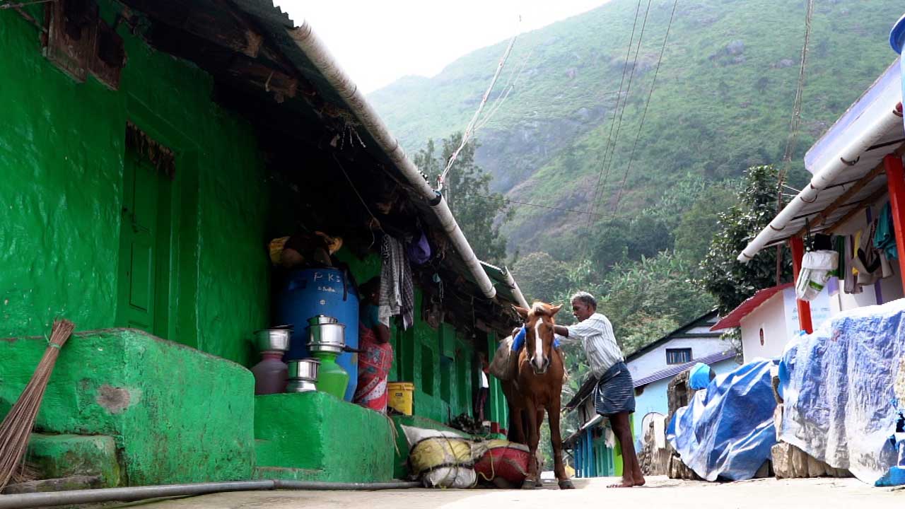 vattakanal-to-vellakavi-treking-7 (1)