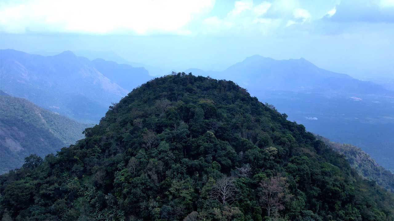 vattakanal-to-vellakavi-treking-8 (1)