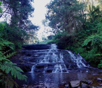 vattakanal-to-vellakavi-treking1 (1)