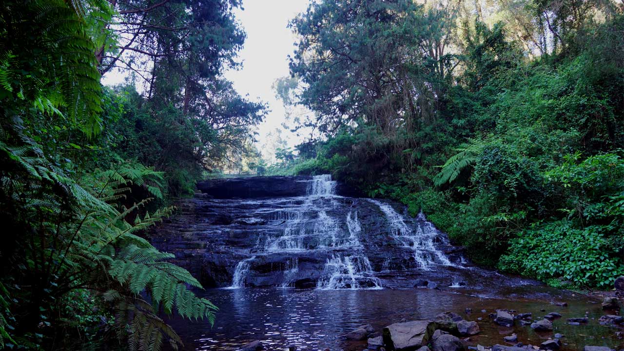 vattakanal-to-vellakavi-treking1 (1)